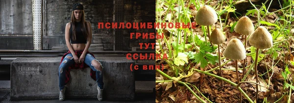 хмурый Алексеевка