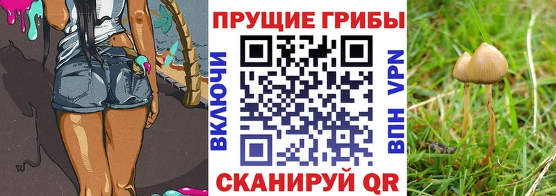 Галлюциногенные грибы мицелий  Купить  Володарск 